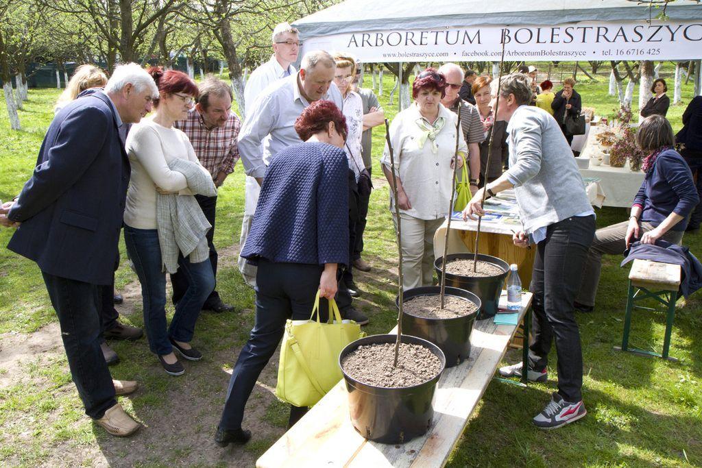 Majówka pod dereniem i jabłonią w Arboretum 