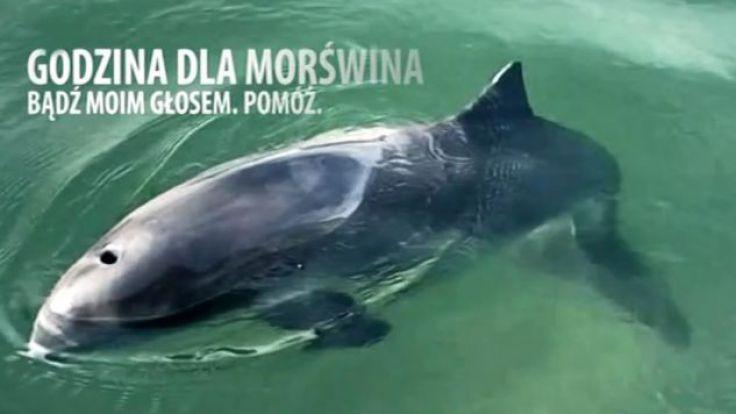 Jutro zgaśnie wieża katedralna i Zamek Kazimierzowski
