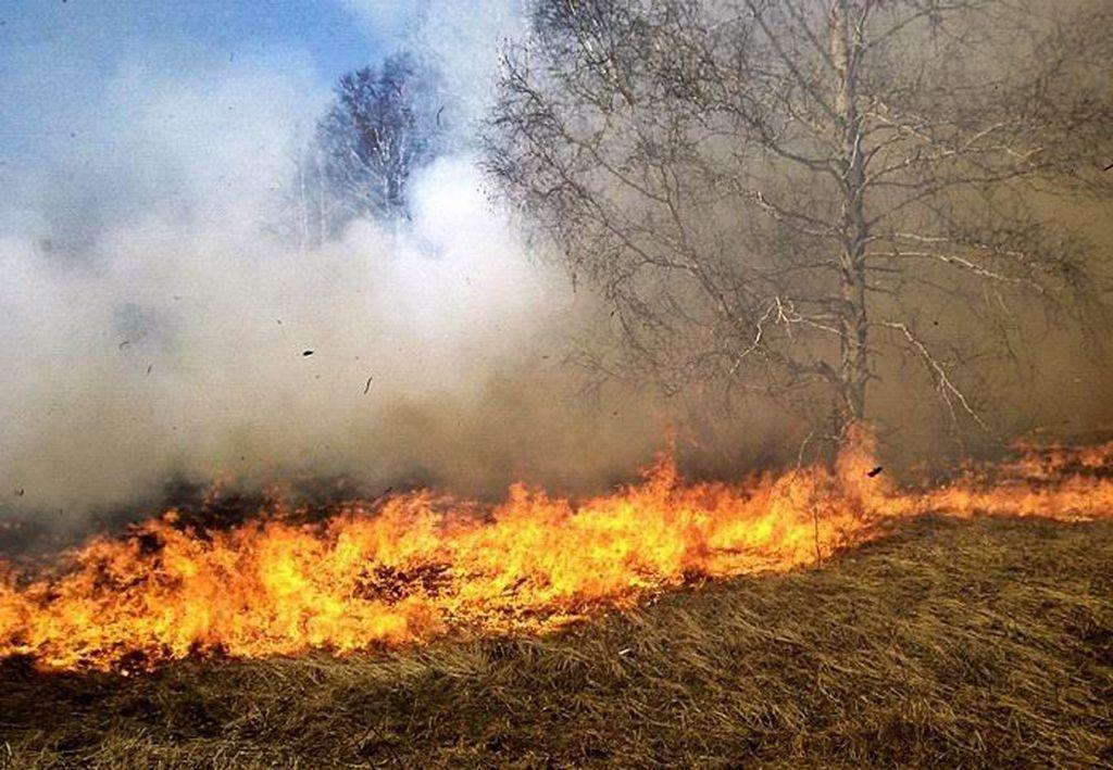 Wypalając trawy, narażasz się na zaczadzenie, a nawet śmierć w płomieniach!