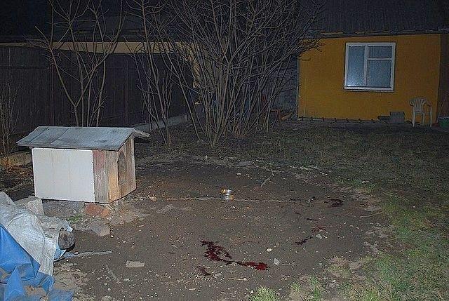 Upili się i bestialsko zabili  maczetą przywiązanego do budy psa!