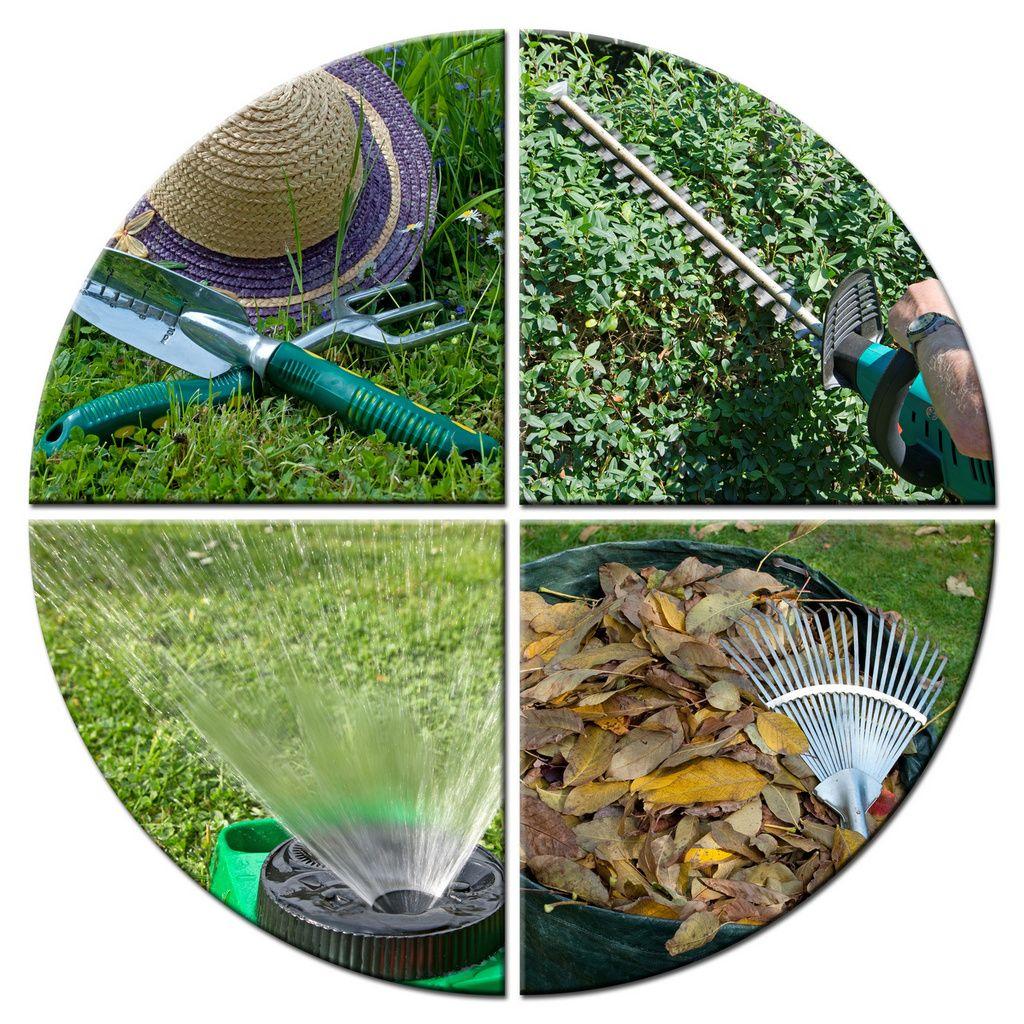 Marzec w ogrodzie – miniporadnik działkowicza