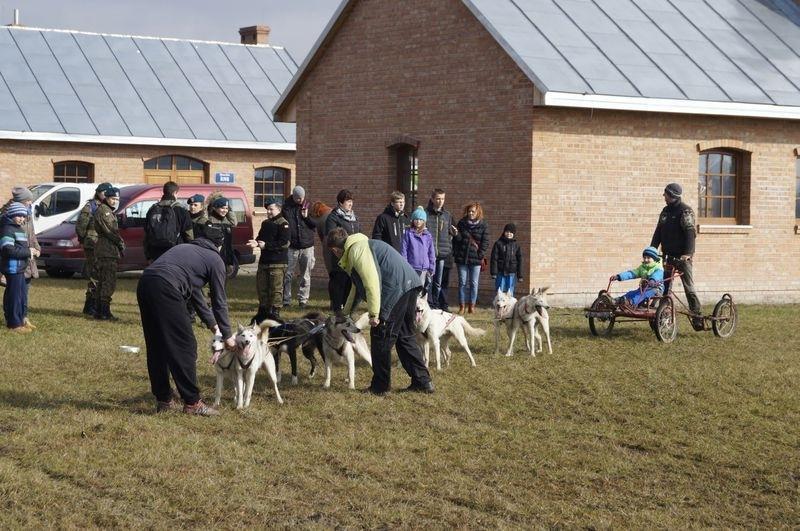 Psie zaprzęgi w Kresowej Osadzie