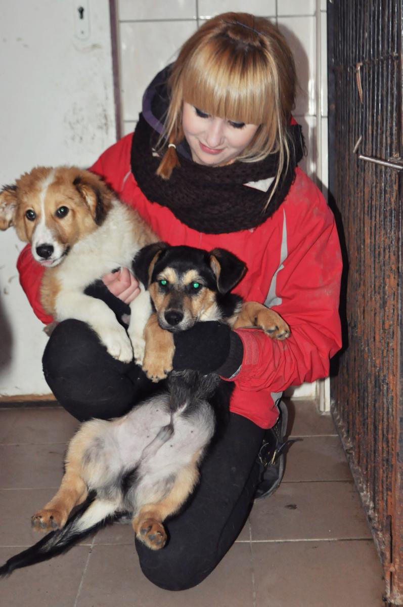 Nie kupuj – adoptuj!