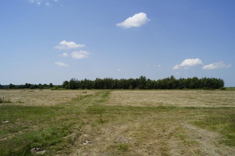 Działki budowlane w Dąbkowie czekają na chętnych