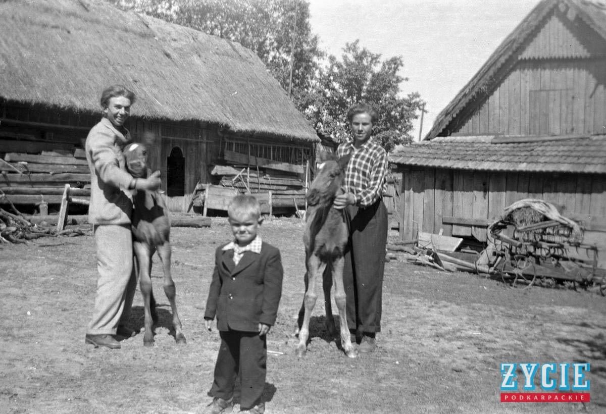 Fotografie drwala z Mołodycza