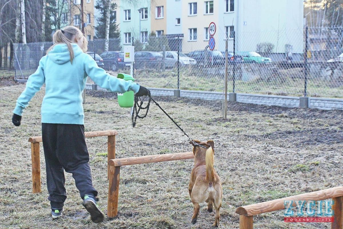 Weź psa na rekreację. Powstał specjalny park