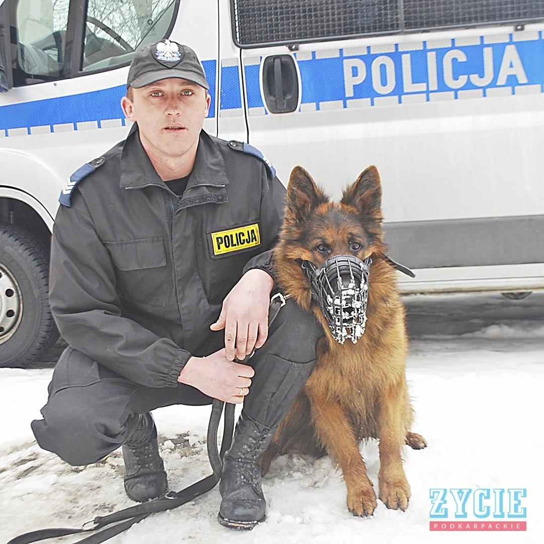 Kilka radiowozów brało udział w pościgu za złodziejem samochodu