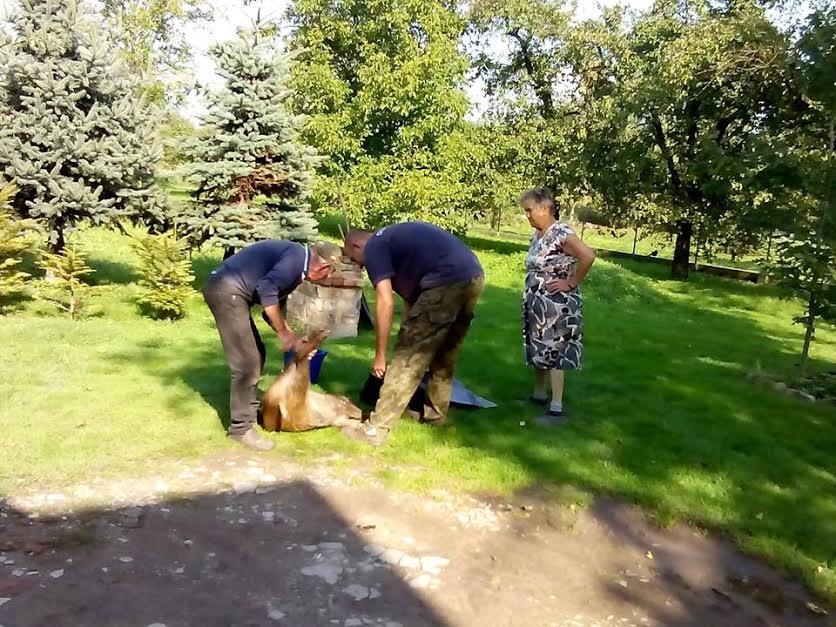 Myśliwy postrzelił kolegę podczas polowania