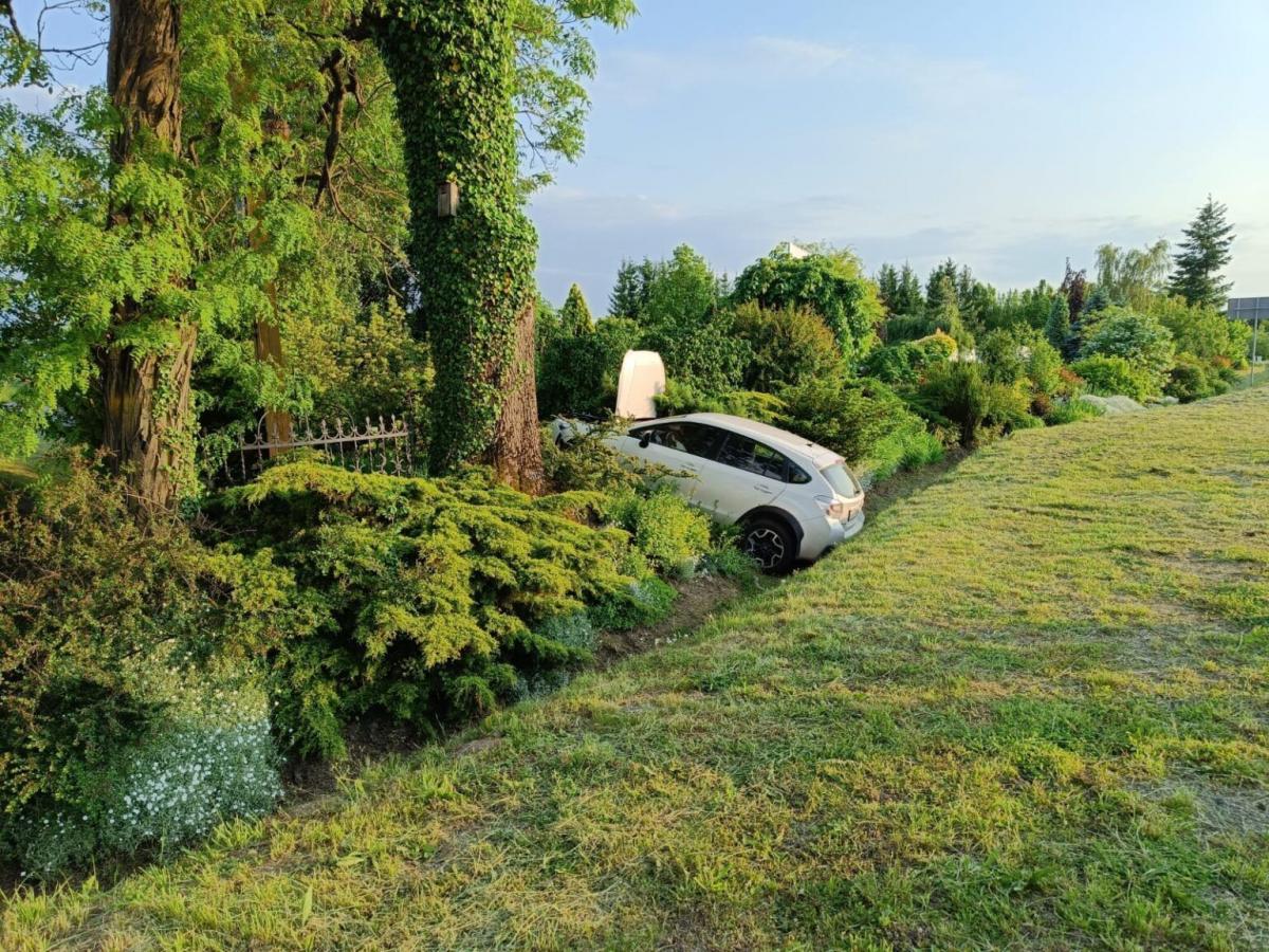 Kto kierował białym subaru sędziego Brosia?