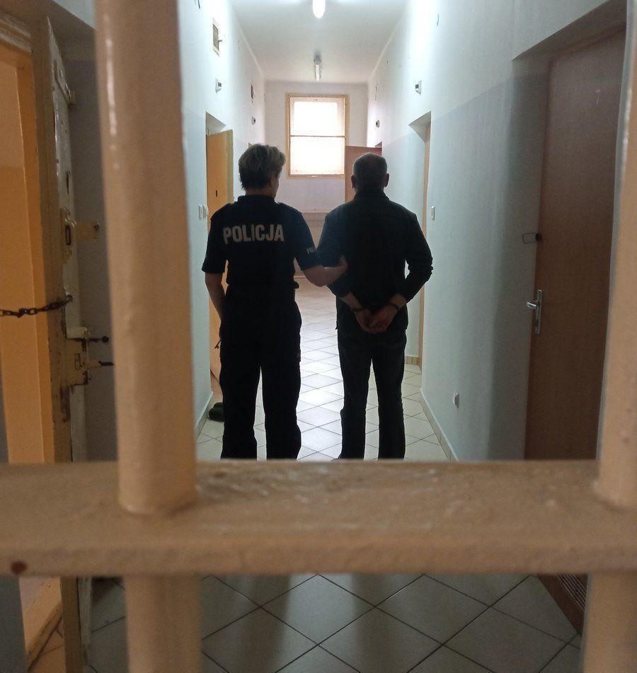 Zatrzymani za wyrąb i kradzież drewna