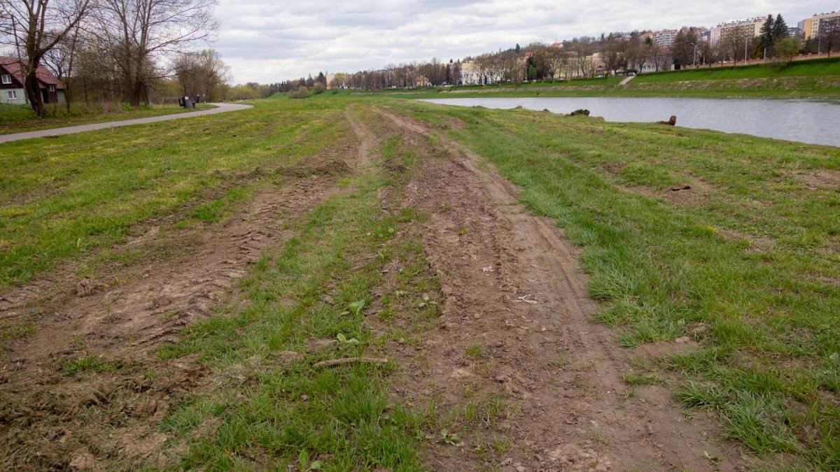 Przemyślanin: Nabrzeże Sanu przypomina pola uprawne