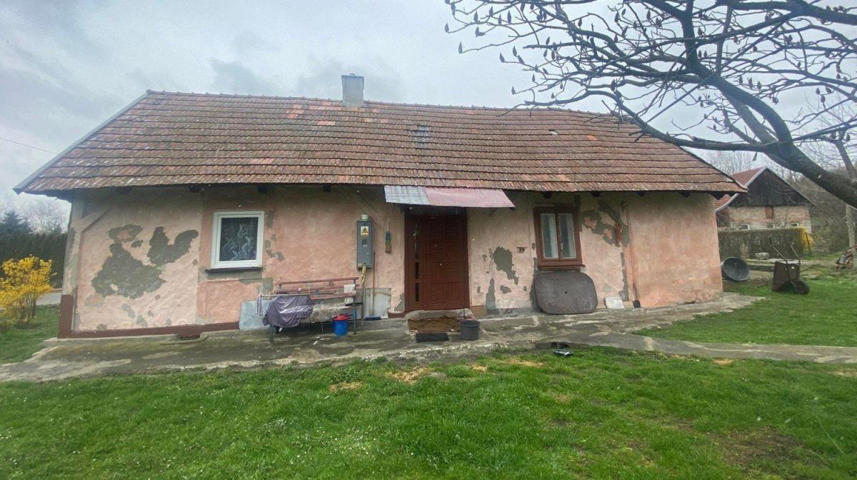 Poseł to ma klawe życie