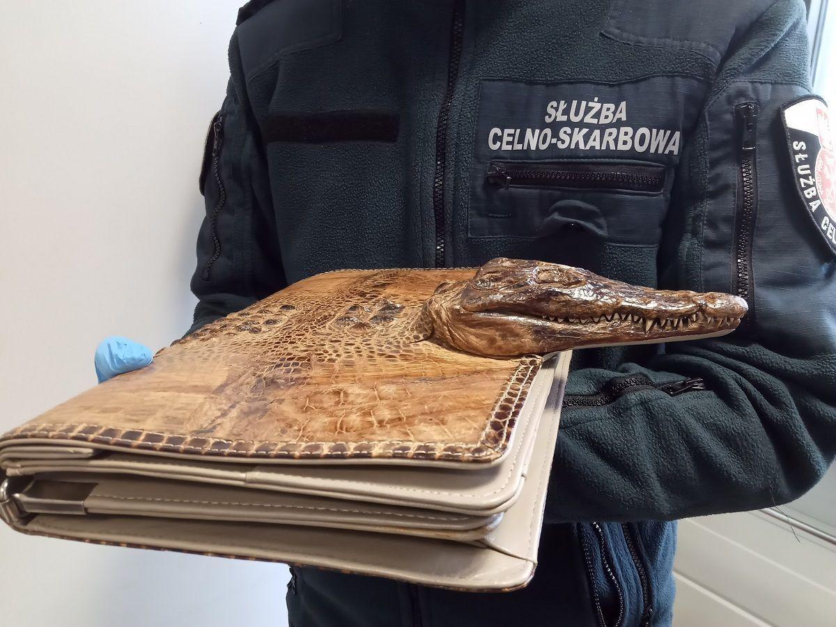 Dość oryginalna teczka w bagażu podróżnego. Tyle że nielegalna [ZDJĘCIA]
