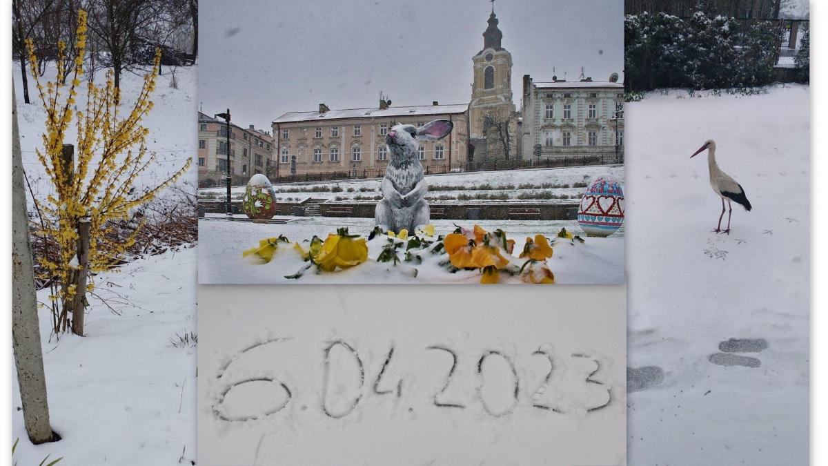 Znowu zaskoczyła! Biała wiosna w Przemyślu [Wasze ZDJĘCIA]
