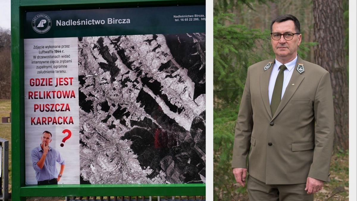 Czy na terenie Nadleśnictwa Bircza powstanie Turnicki Park Narodowy? [WIDEO]