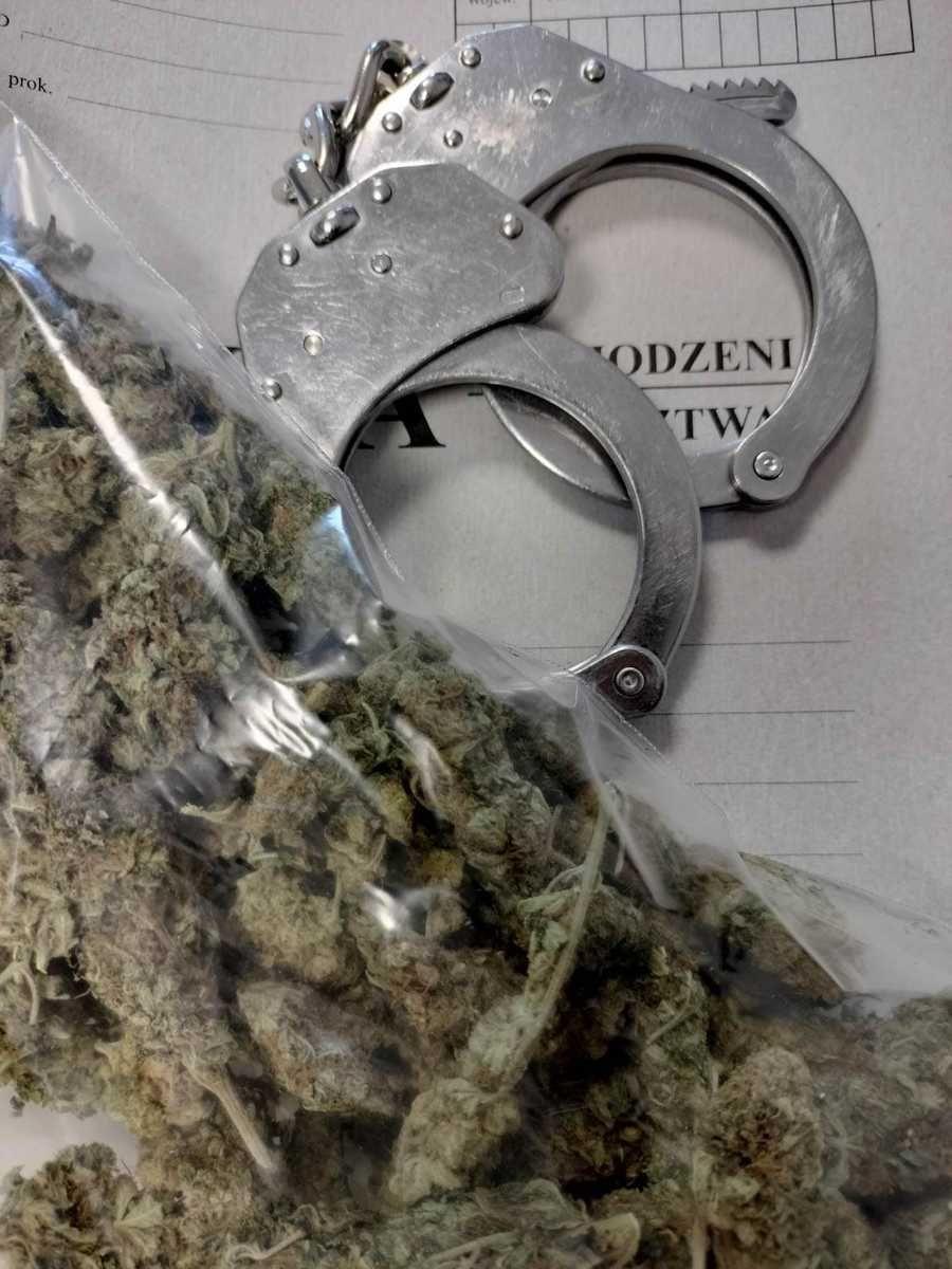20-latkowie odpowiedzą za posiadanie narkotyków