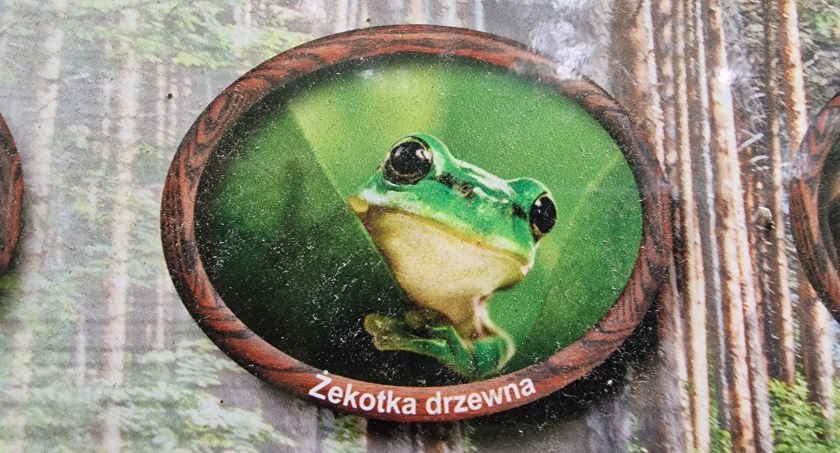 Błędy ortograficzne na tablicach edukacyjnych na Krępaku. Nadleśnictwo Bircza odpowiada