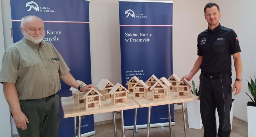 Pszczele hotele. Więźniowie i leśnicy w słusznej sprawie
