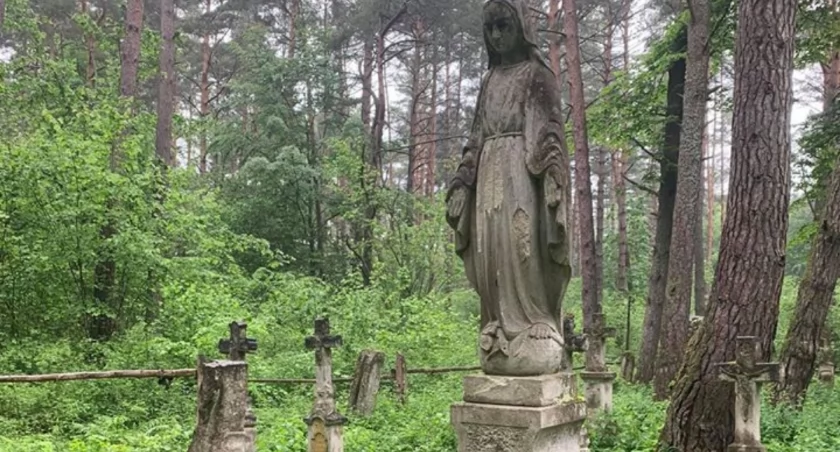 Tajemnicza nekropolia w lesie odzyskuje należny szacunek