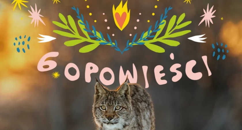 Poznaj skarby Pogórza Przemyskiego! Inspirujący goście o historii, kulturze i dzikiej przyrodzie