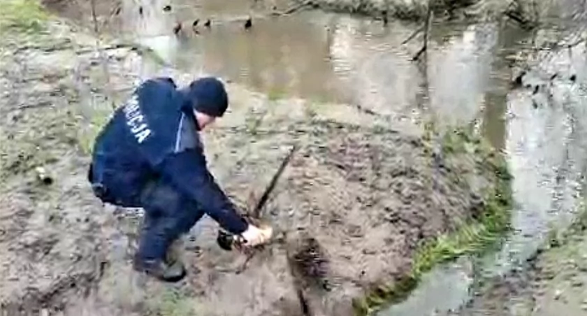 Raz sarna, raz bóbr. Kolejna interwencja podkarpackich policjantów