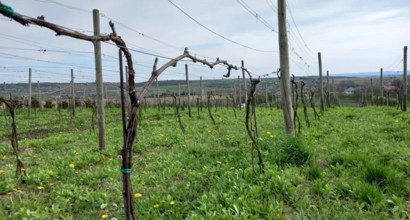 Kasa na drogi dla 146 gmin. 13 dostanie pieniądze na zbiorniki wodne 