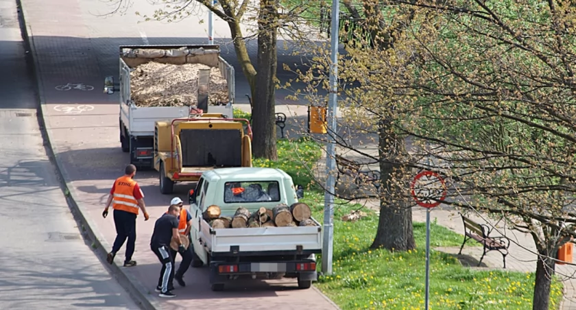 Wycięli drzewa na promenadzie [ZDJĘCIA]