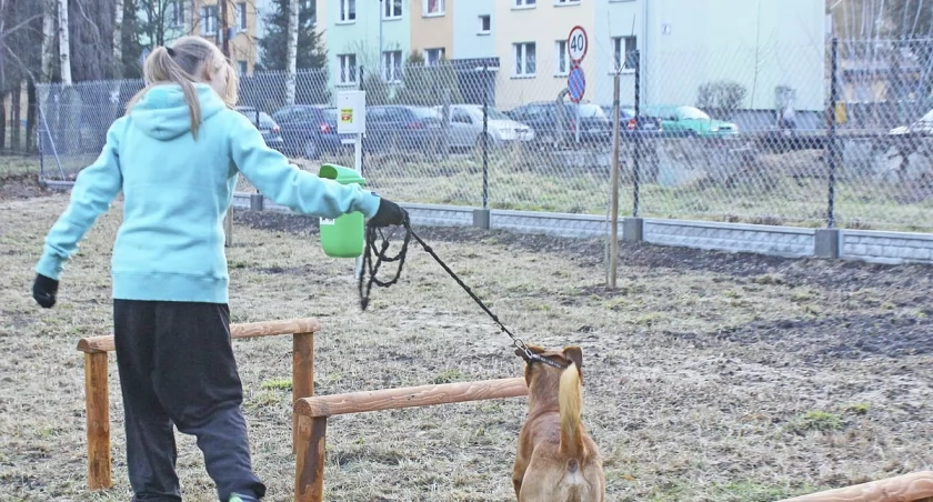 Przeworsk będzie miał swój wybieg dla psów