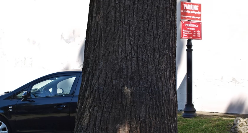 Dlaczego w weekendy parkingi na Grodzkiej są zamknięte? [ZDJĘCIA]