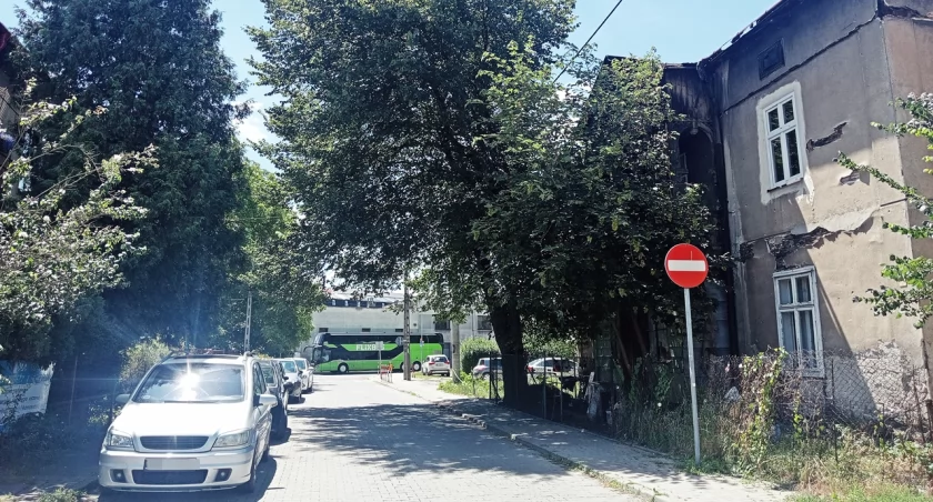 Zwisające drzewo, które wszystkim... zwisa