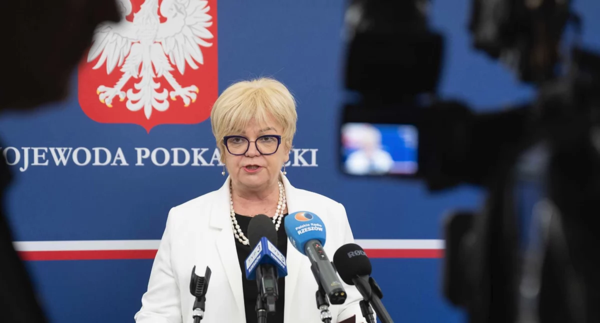 Pierwszy dzienny opiekun dla dzieci do lat trzech