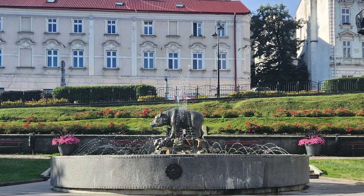 Kąpiel „z niedźwiadkami” zakończył mandatem 