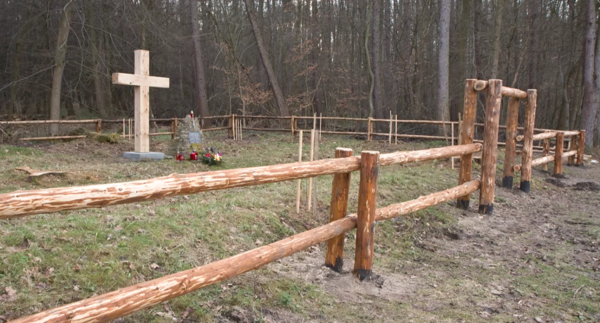 Chałupki Bełwińskie: Fałszywy alarm [ZDJĘCIA]