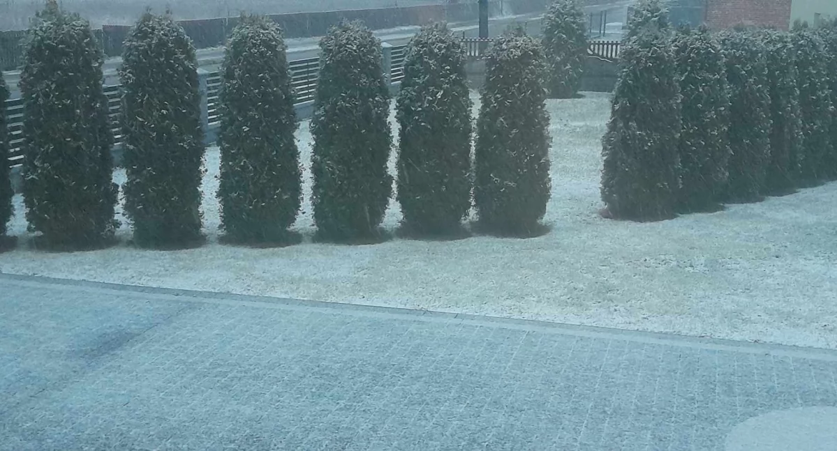 Na Podkarpaciu spadł pierwszy śnieg! [WIDEO]