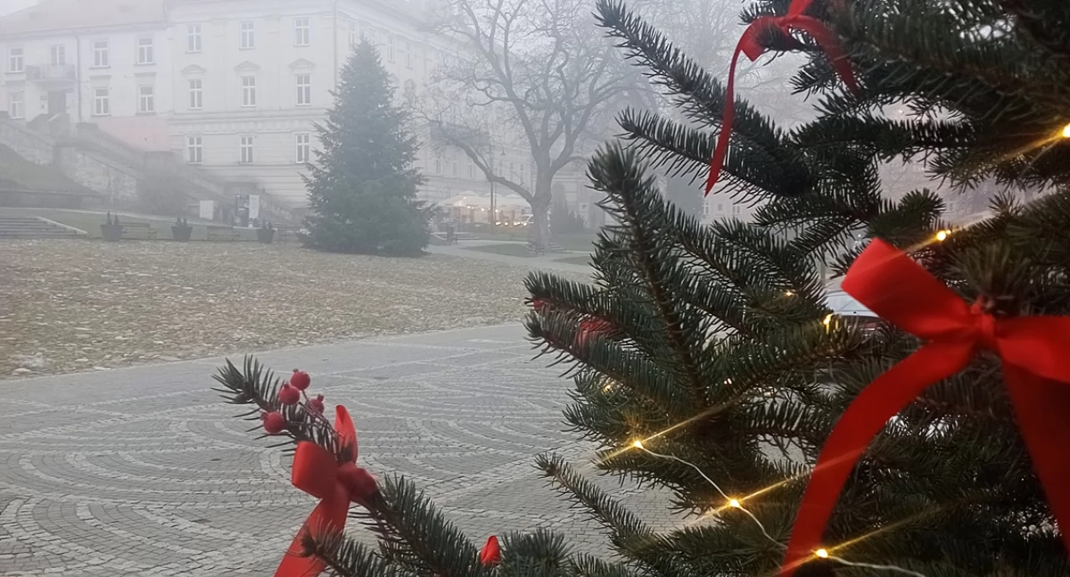Na przemyskim Rynku stanęła choinka. Coraz bliżej święta… [ZDJĘCIA]