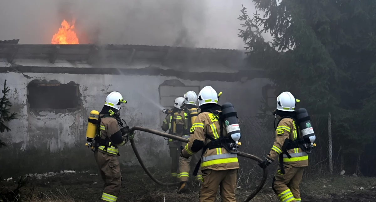  Blisko 30 zastępów straży pożarnych gasiło pożar hali poprodukcyjnej Pełkiniach [ZDJĘCIA]