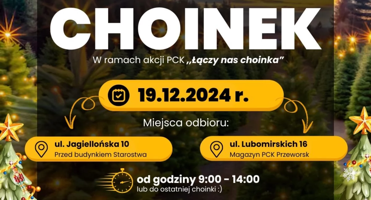 Mieszkasz w powiecie przeworskim? Odbierz darmową choinkę!