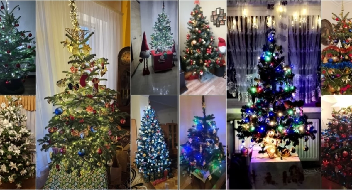 Najpiękniejsze choinki naszych Czytelników. Zobaczcie zdjęcia [GALERIA]