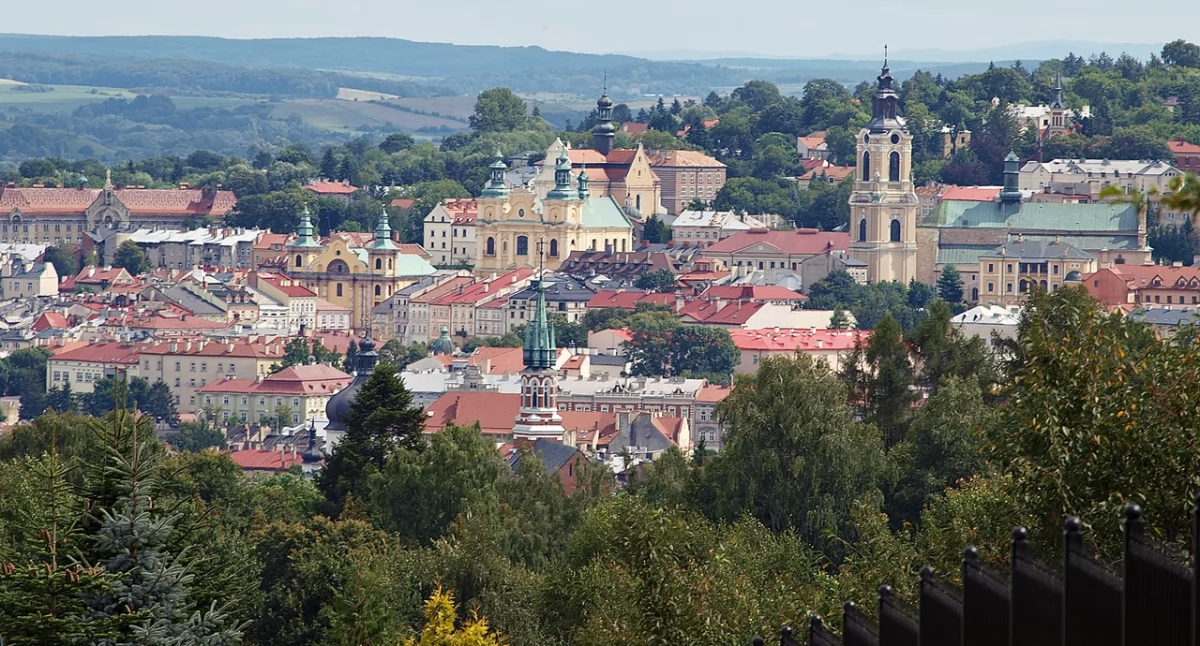 Czy w Przemyślu powstanie spalarnia śmieci?