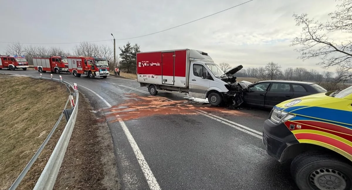 Zdarzenie drogowe w Tryńczy. Ucierpiały dwie osoby [ZDJĘCIA]