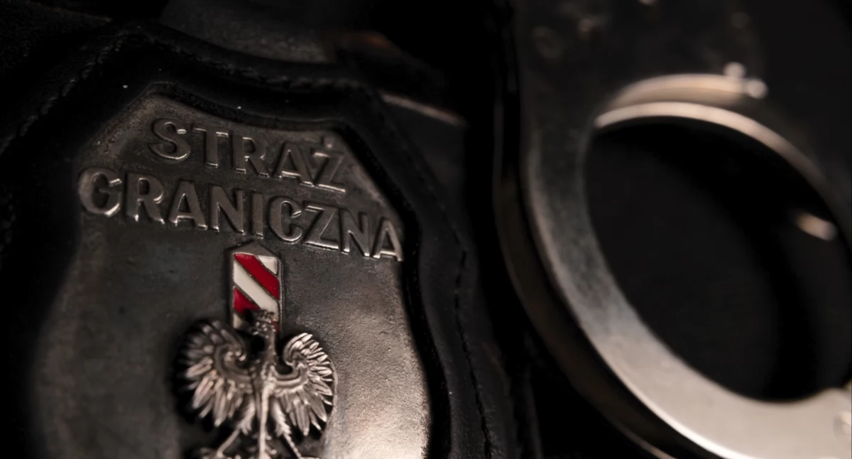 Zatrzymano kobietę działającą w zorganizowanej grupie przestępczej handlującej ludzkimi narządami