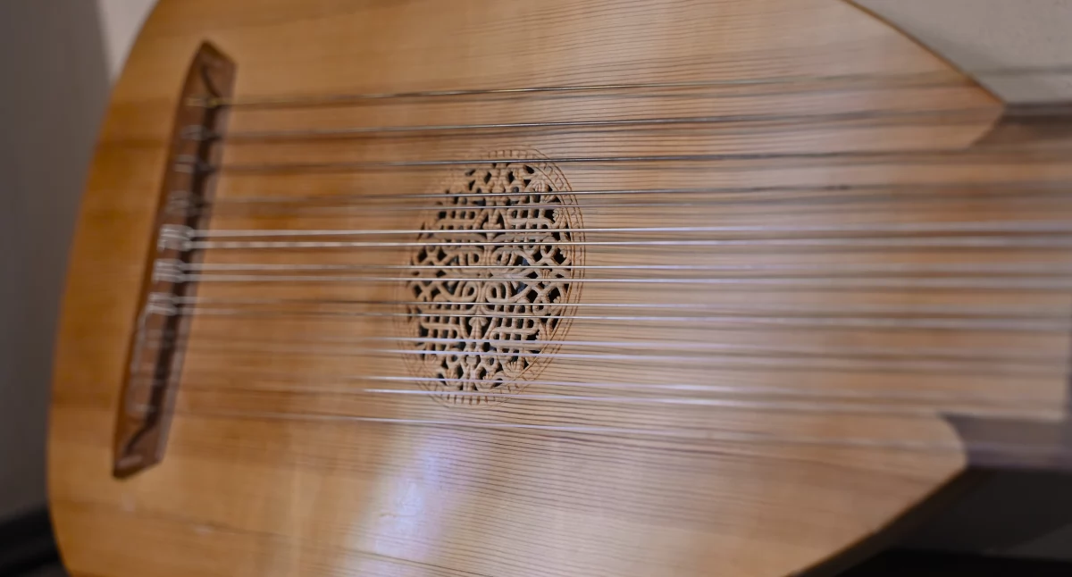 Citola, viola da gamba i scheitholt w kamienicy Orsettich [ZDJĘCIA]