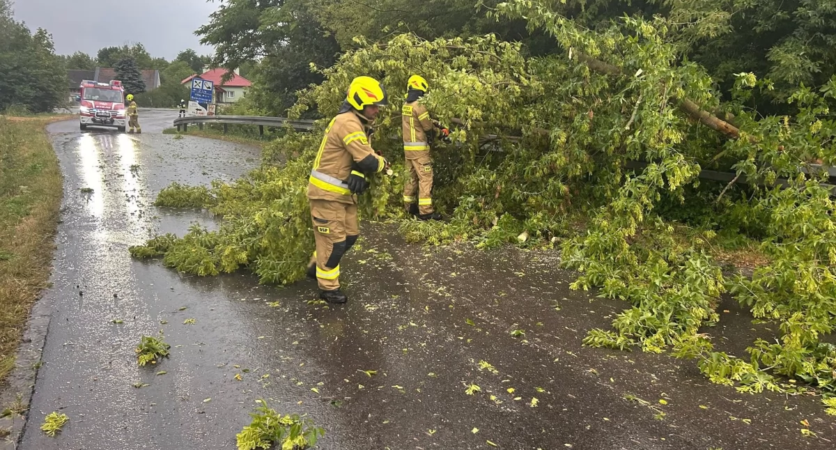 Niż „Gabriel”, czyli zapowiadało się groźnie, ale natura oszczędziła tragedii [ZDJĘCIA]