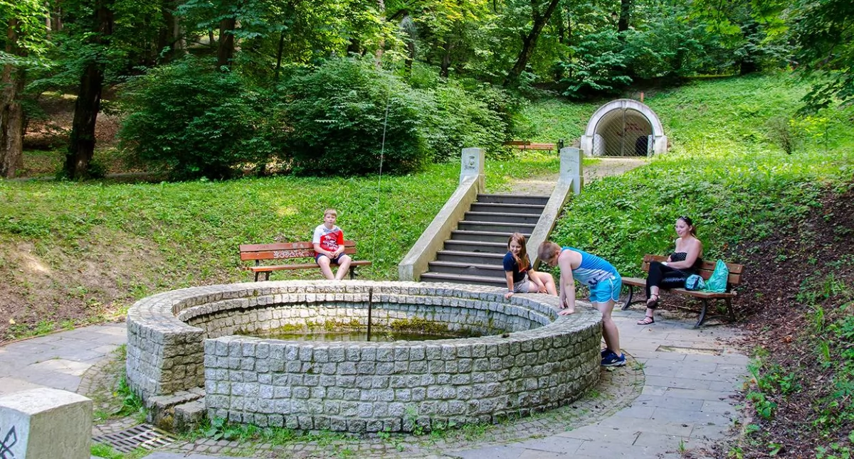 Sztucznej inteligencji przypadł do gustu Park Zamkowy im. Mariana Strońskiego