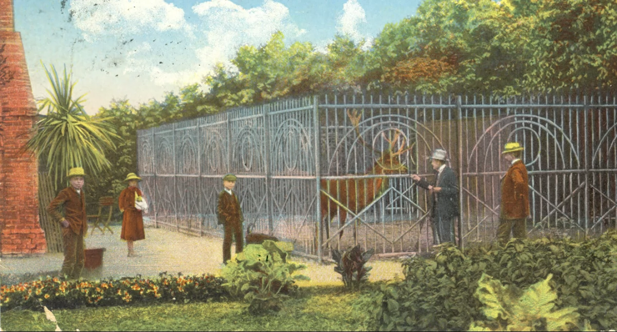 Kanikuła w c.k. Przemyślu (część 2) 