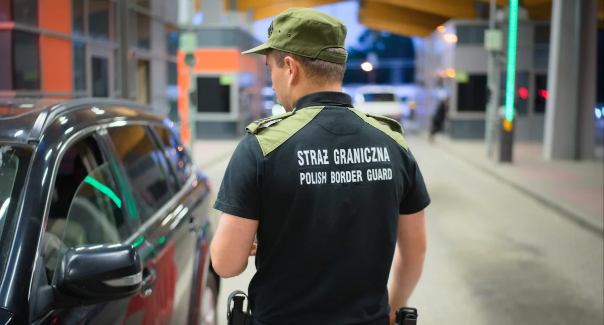 Seria fałszywych dowodów rejestracyjnych na podkarpackiej granicy [ZDJĘCIA]
