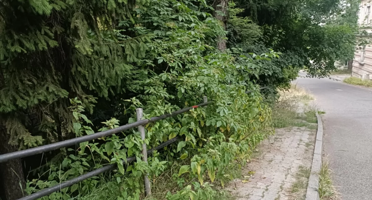 Zaniedbania utrudniają przejście