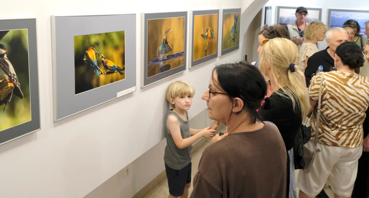 Aves – wystawa Elżbiety Rogaczewskiej-Czępińskiej 