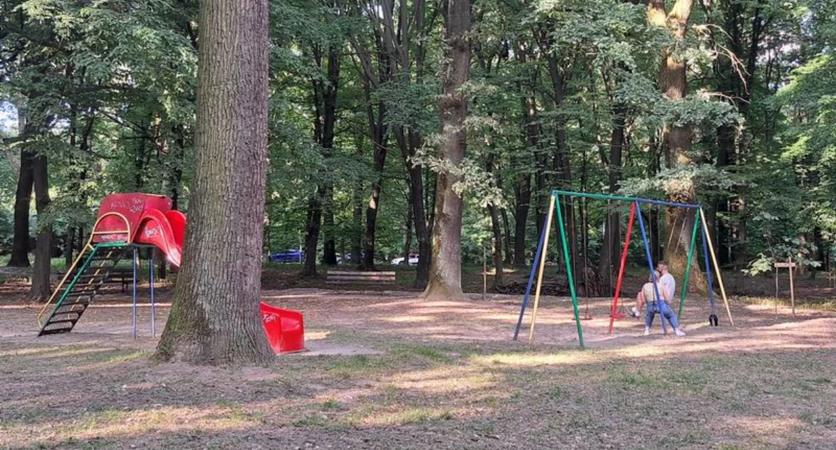 Co z planami zagospodarowania parku na Lipowicy?