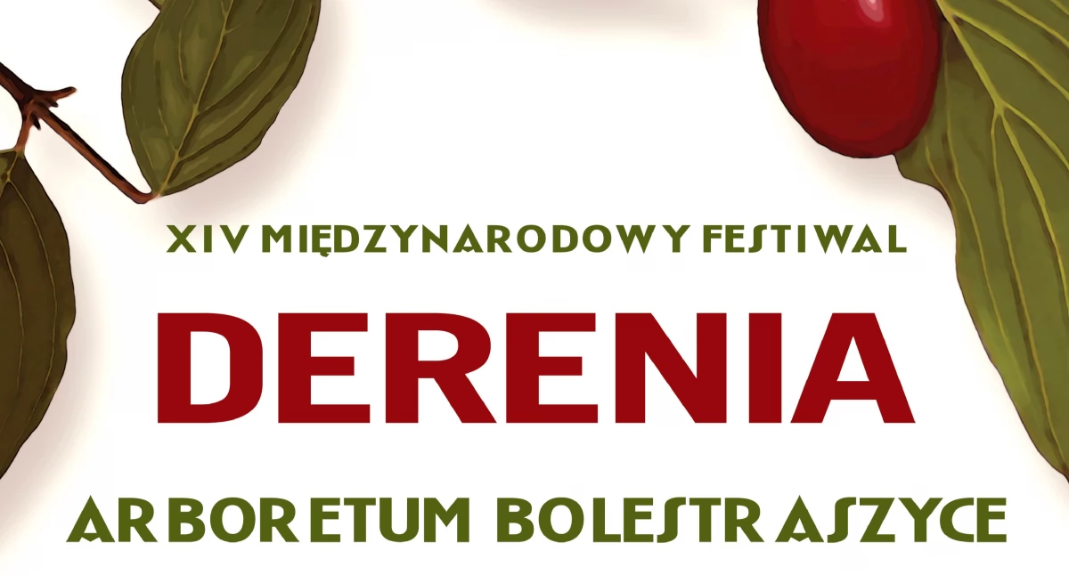 Festiwal derenia w Bolestraszycach